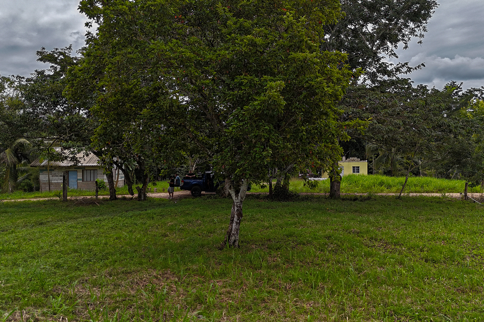 Listing Image #8