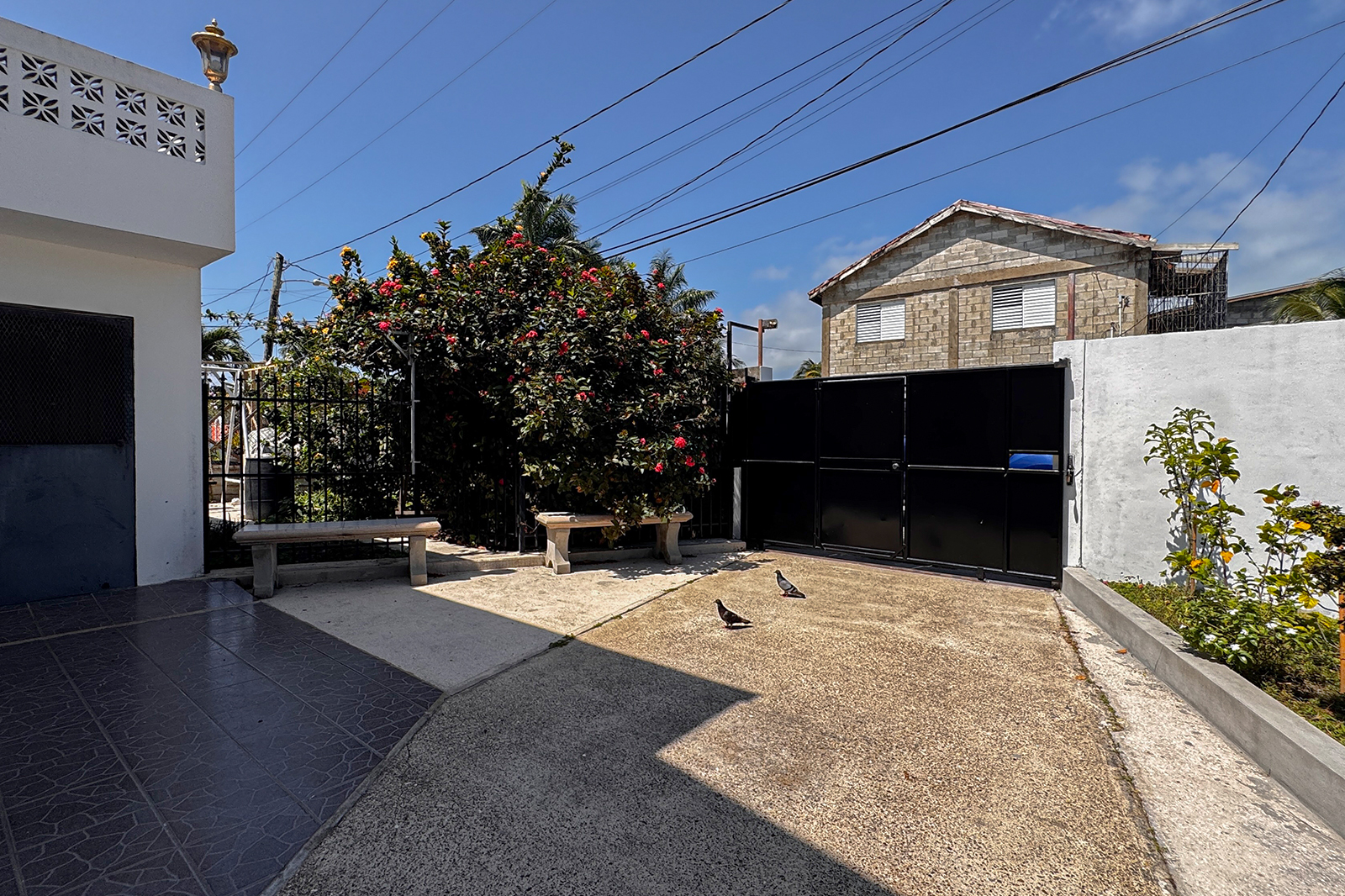 Listing Image #2