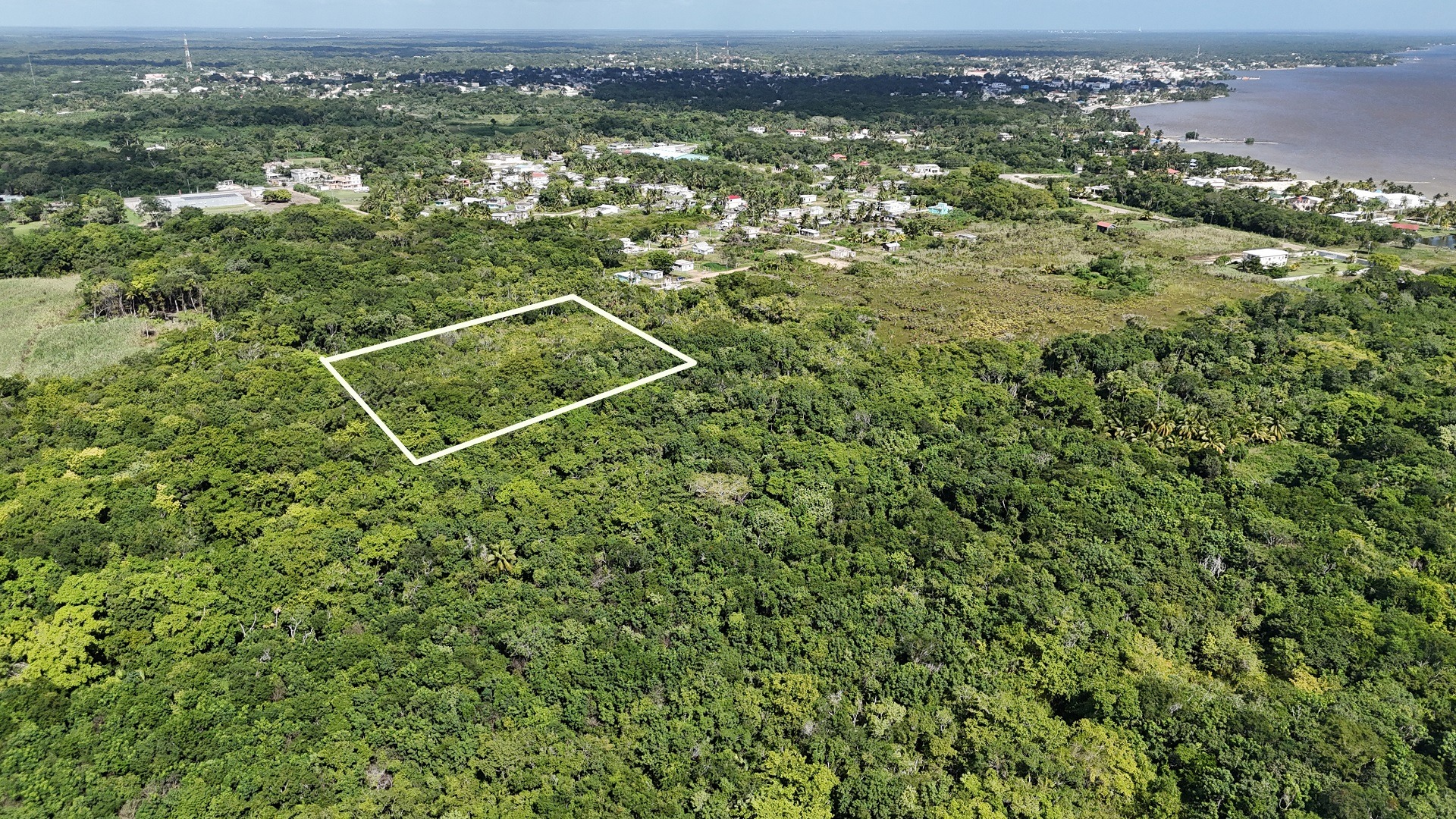 Listing Image #2