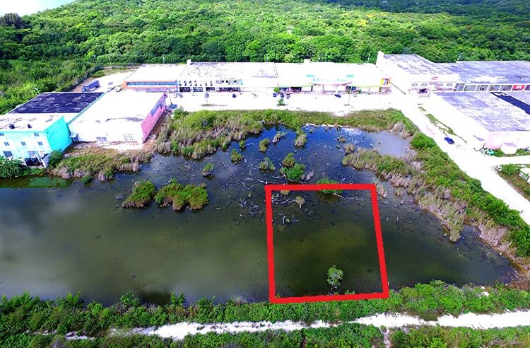 Listing Image #1