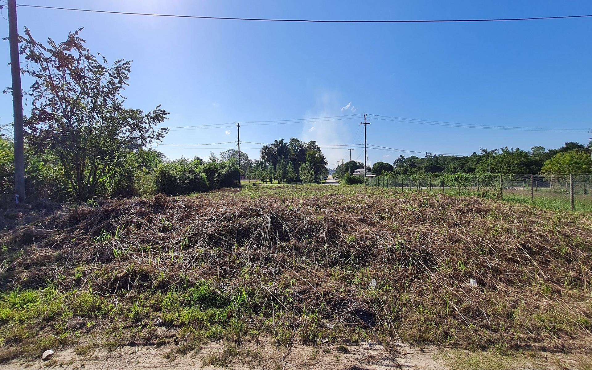 Listing Image #5