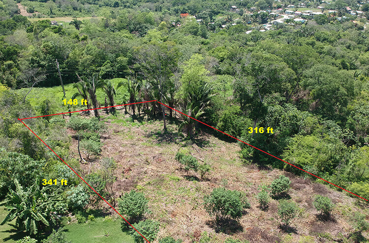Listing Image #2