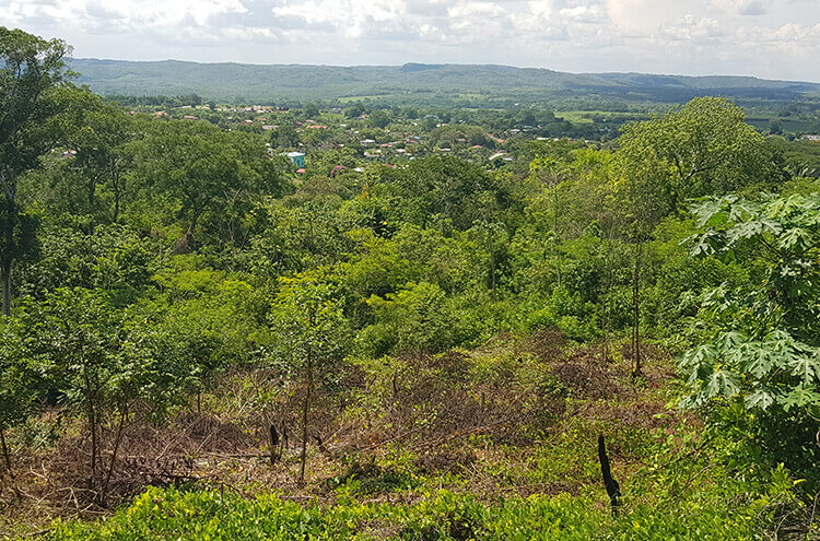 Listing Image #5