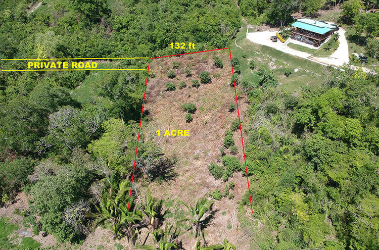Listing Image #1