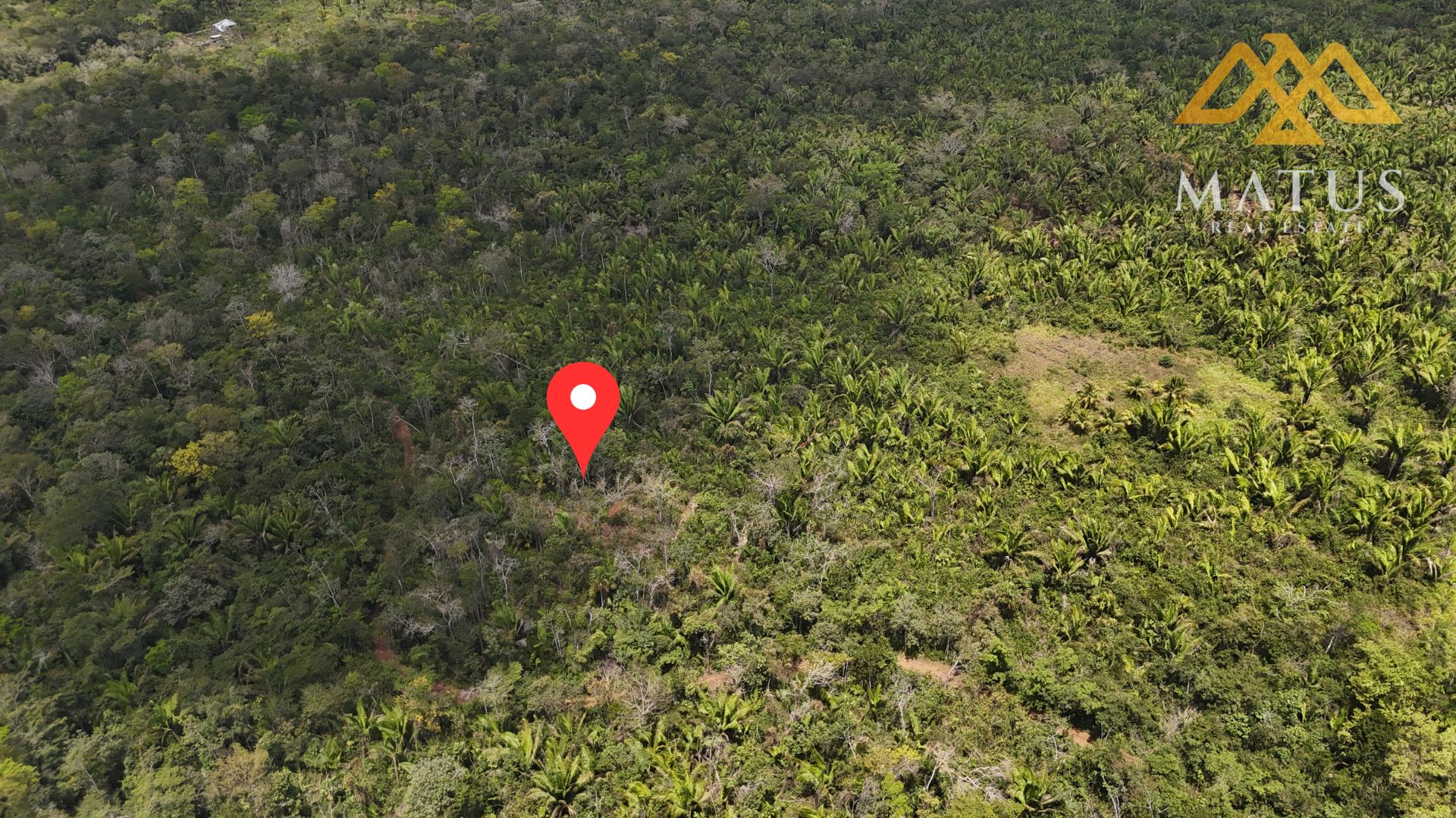 Listing Image #1
