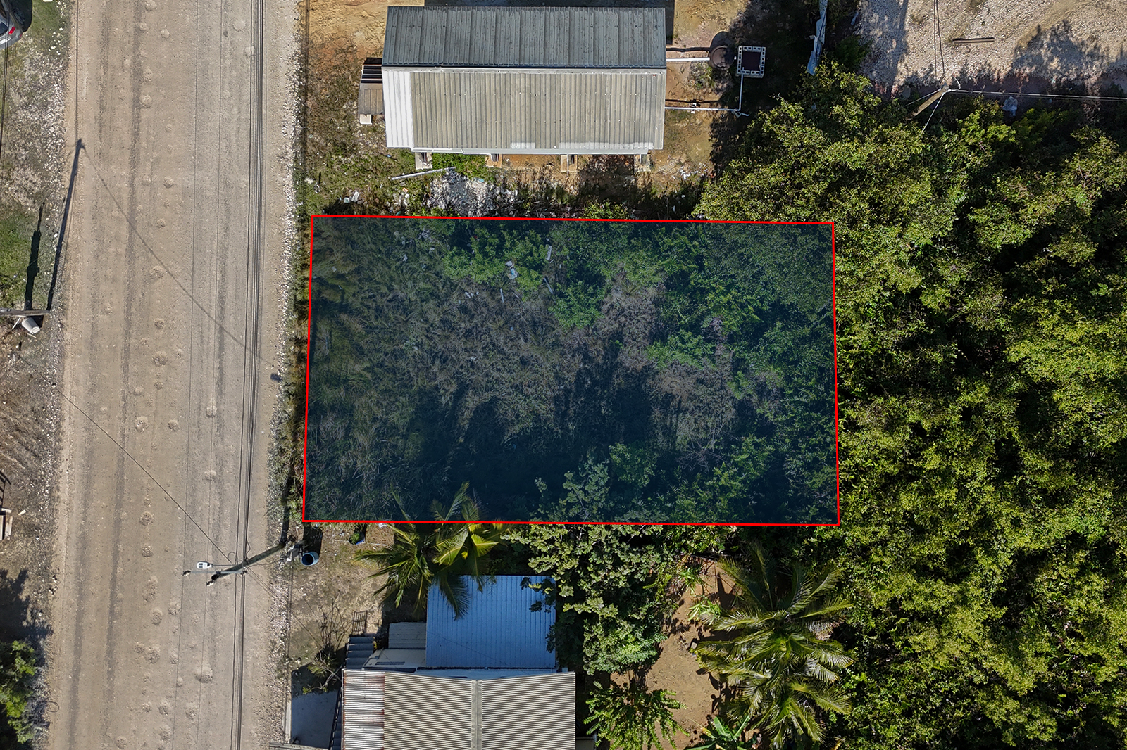 Listing Image #7