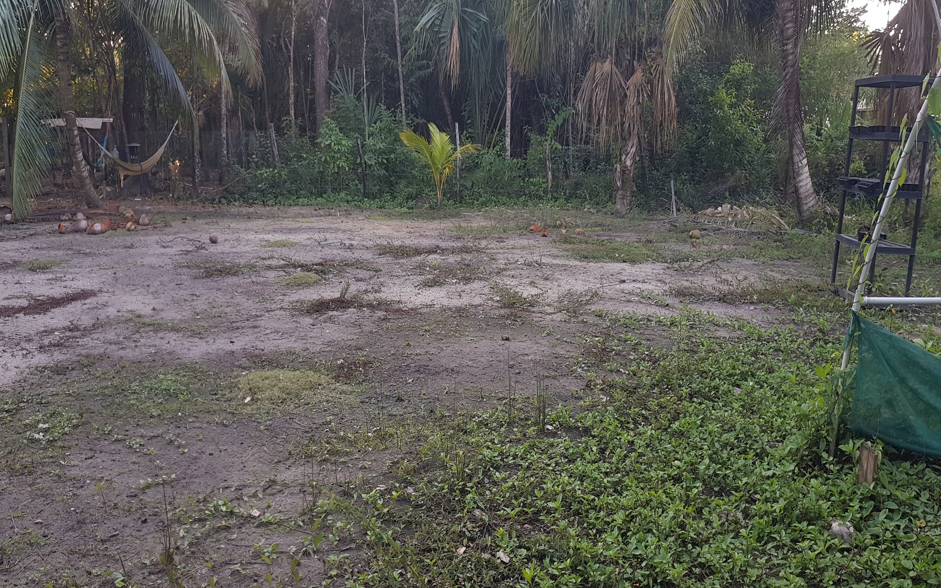 Listing Image #5