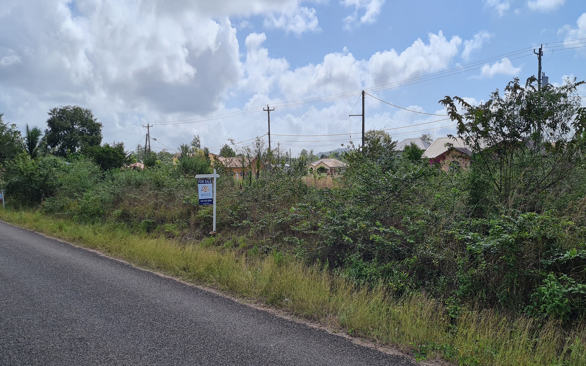 Listing Image #1