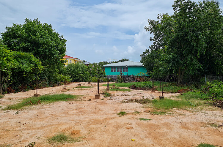 Listing Image #5