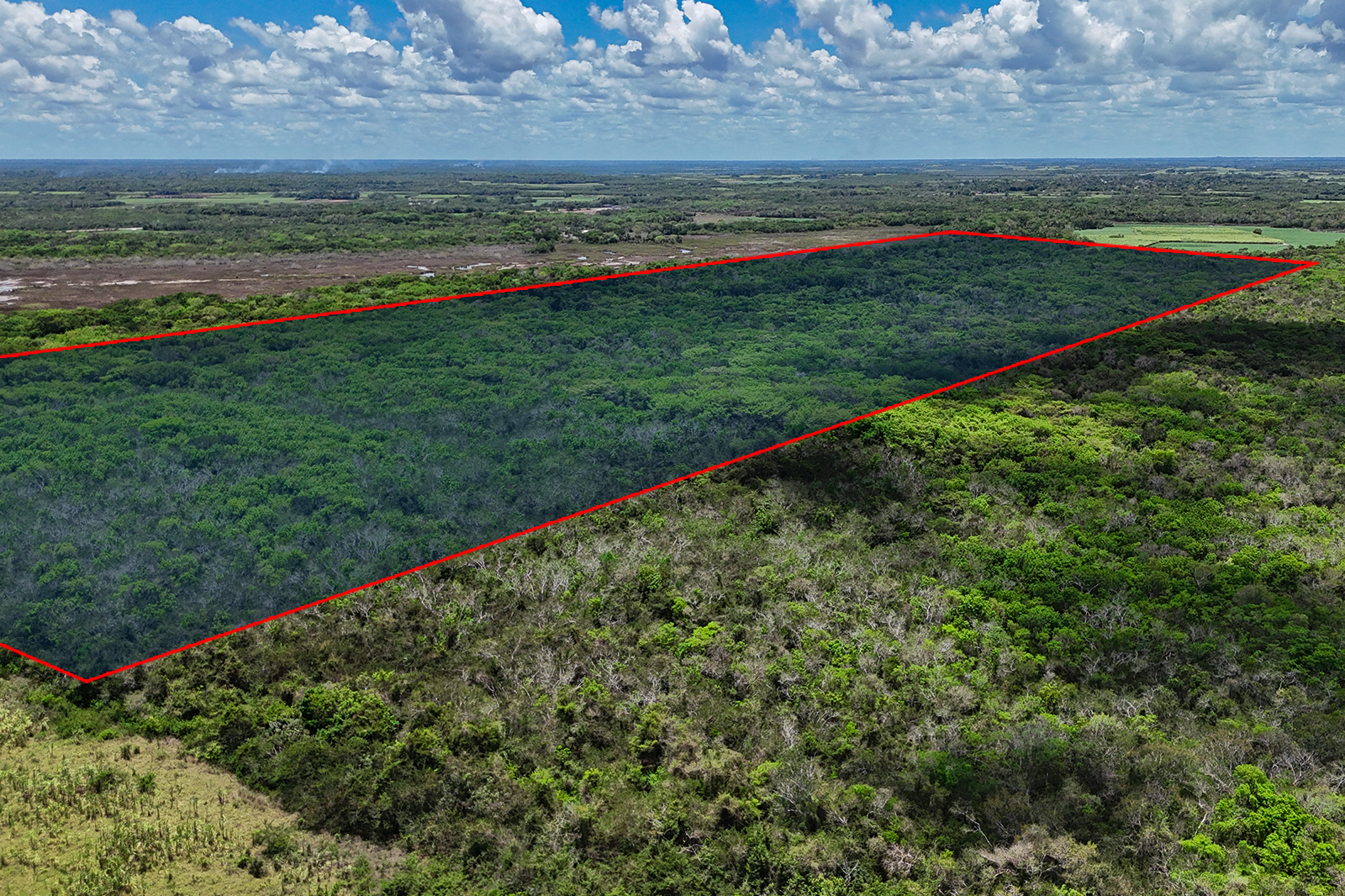 Listing Image #1