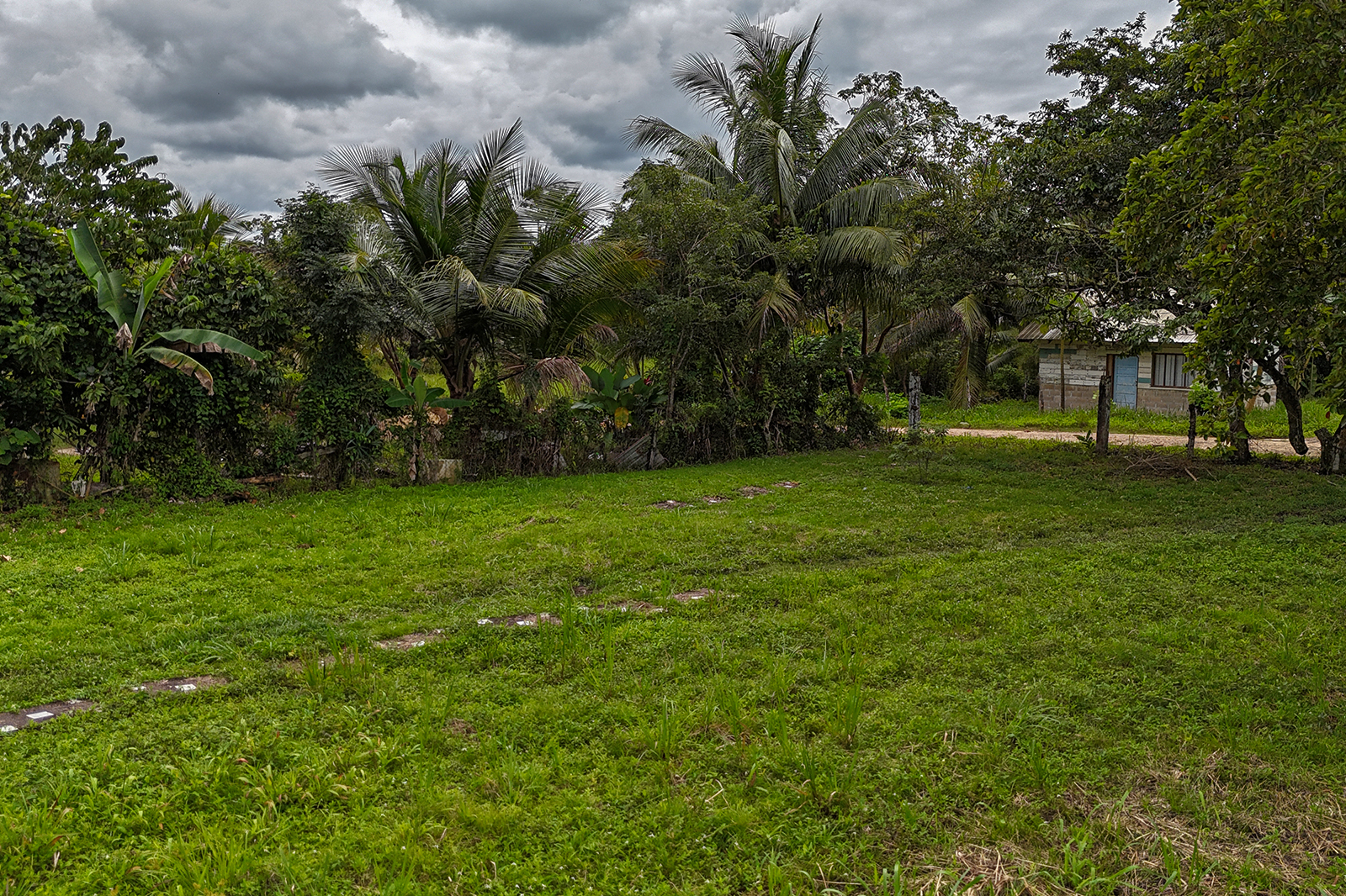 Listing Image #8