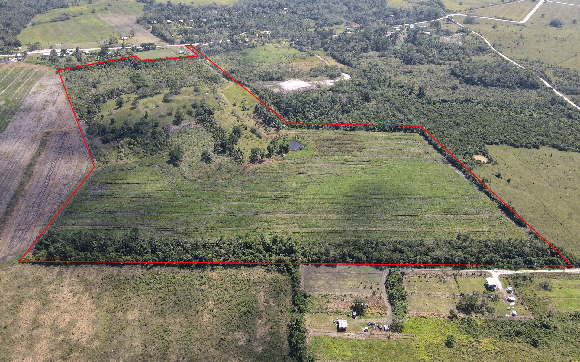 Listing Image #2