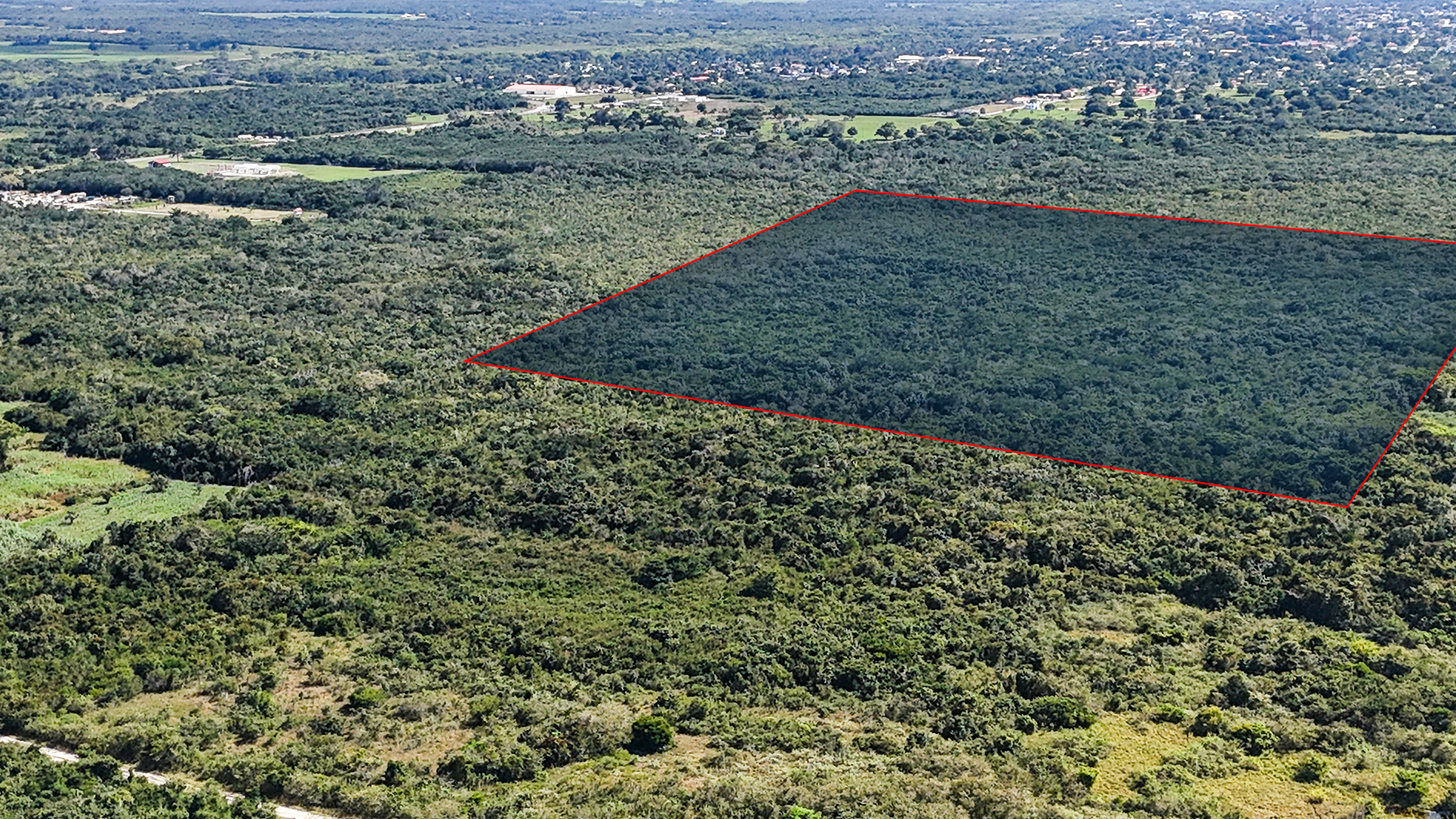 Listing Image #5