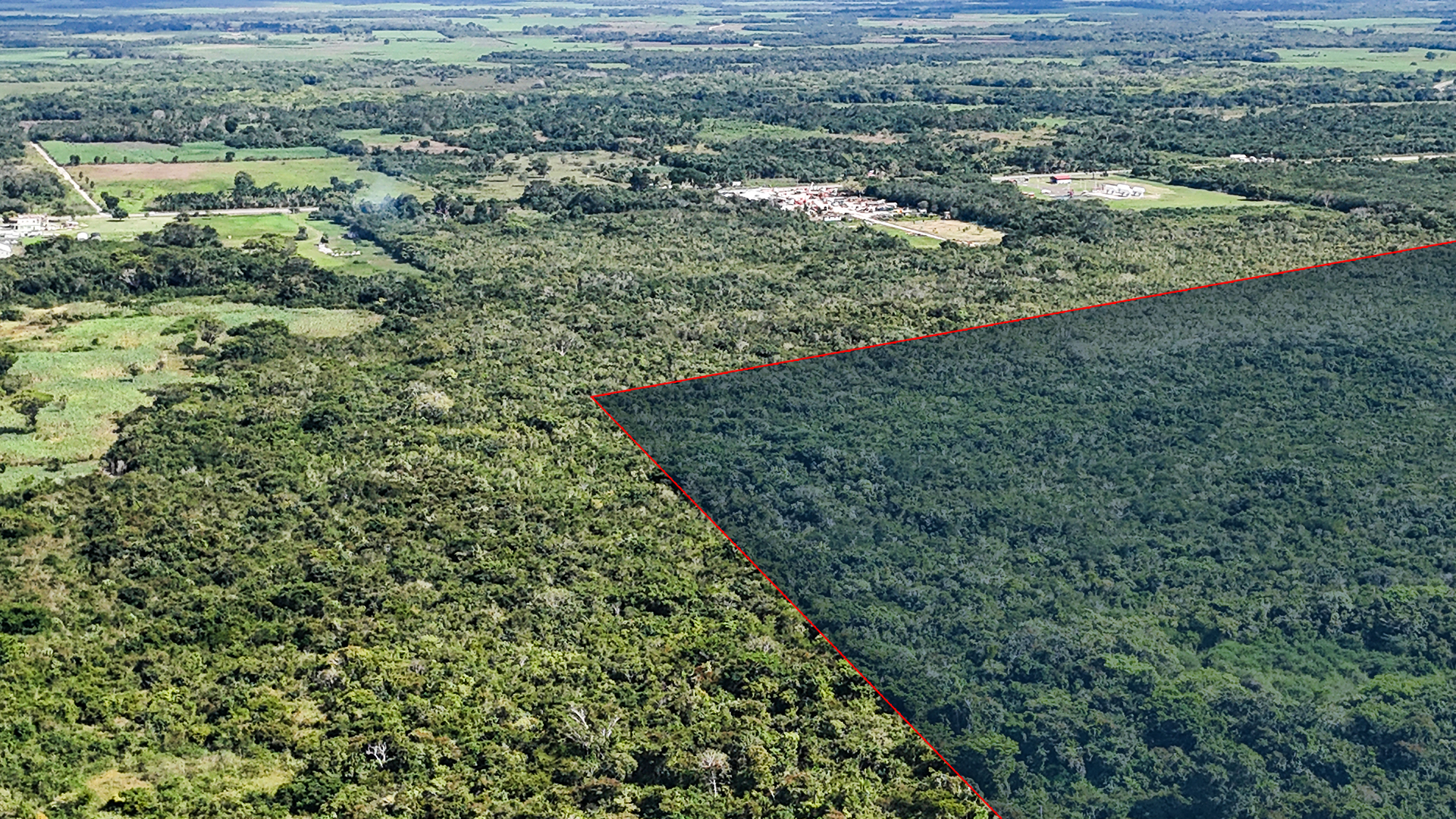 Listing Image #4