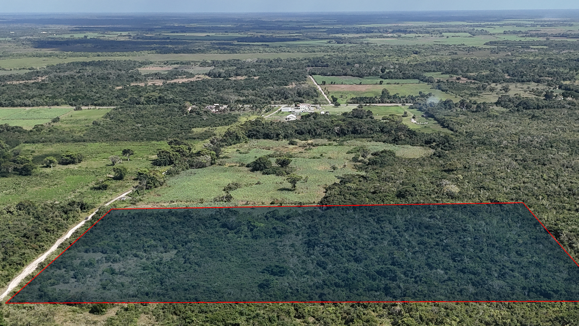 Listing Image #4
