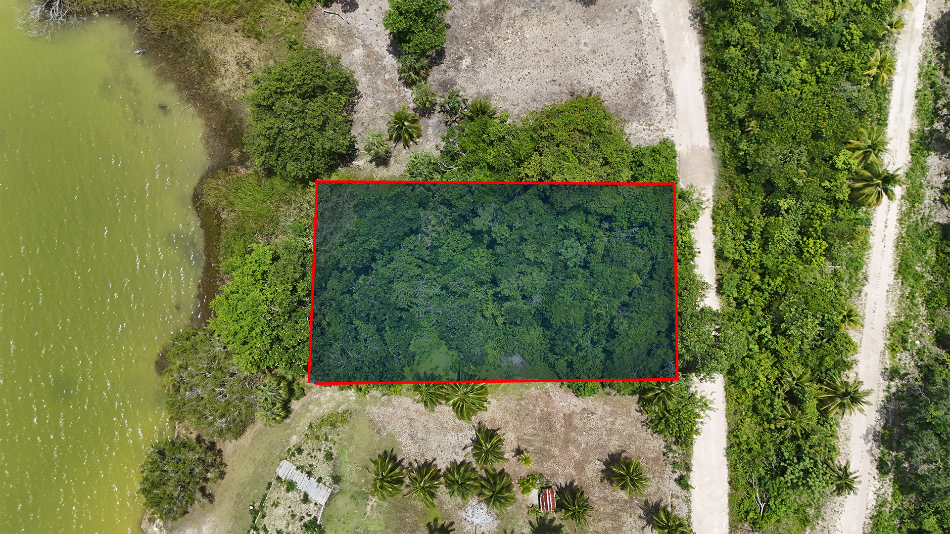 Listing Image #4