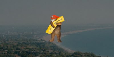 Supporting Our Los Angeles Community During the Fires