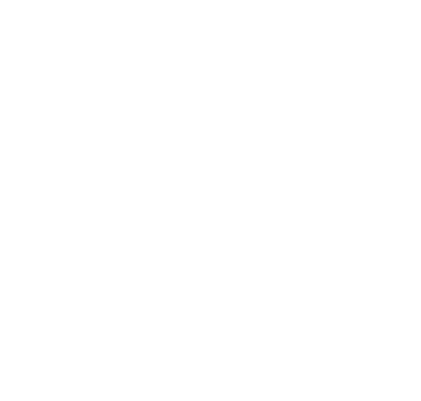 Stephanie Younger Group