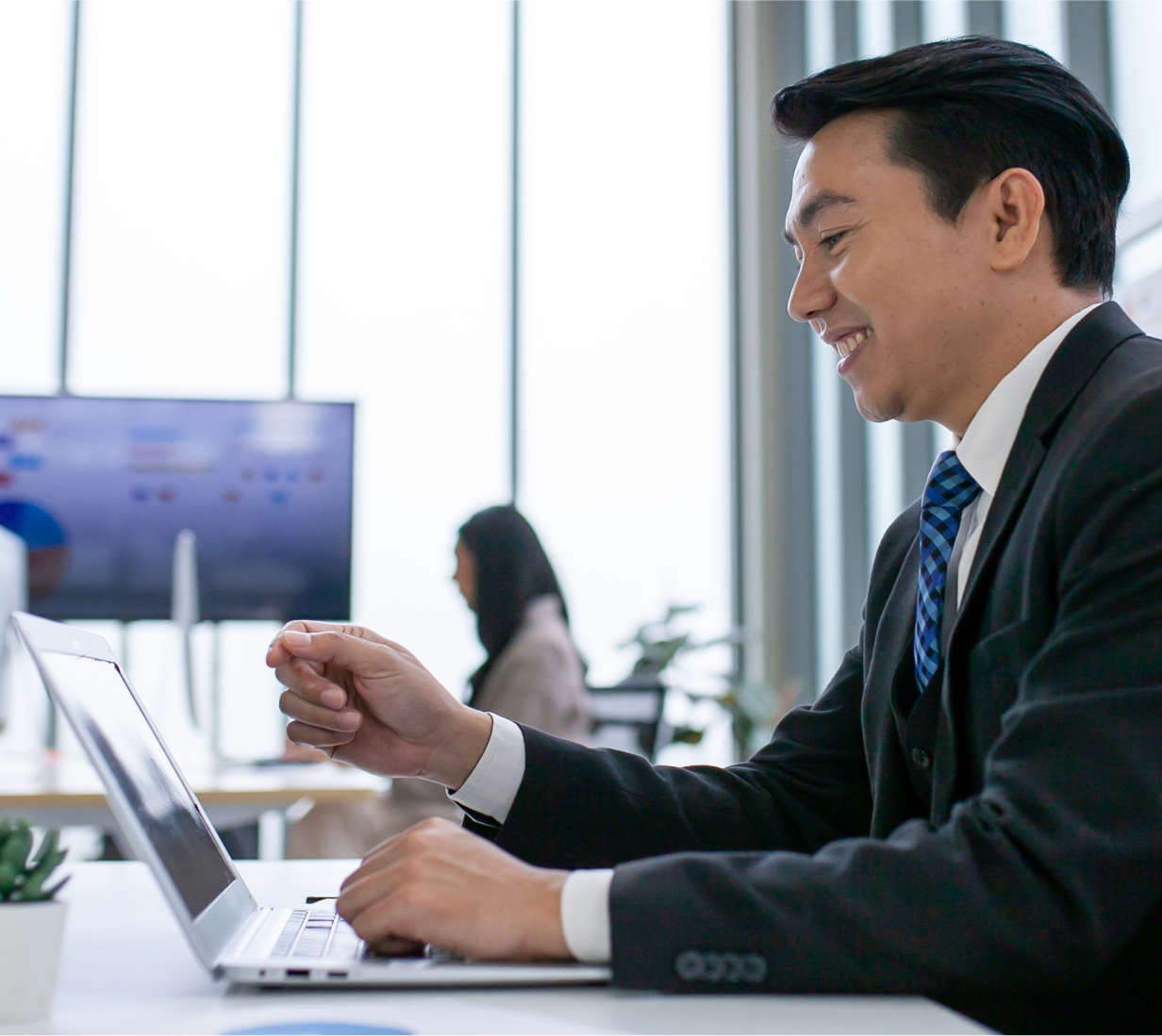 Domestic Corporation Equity