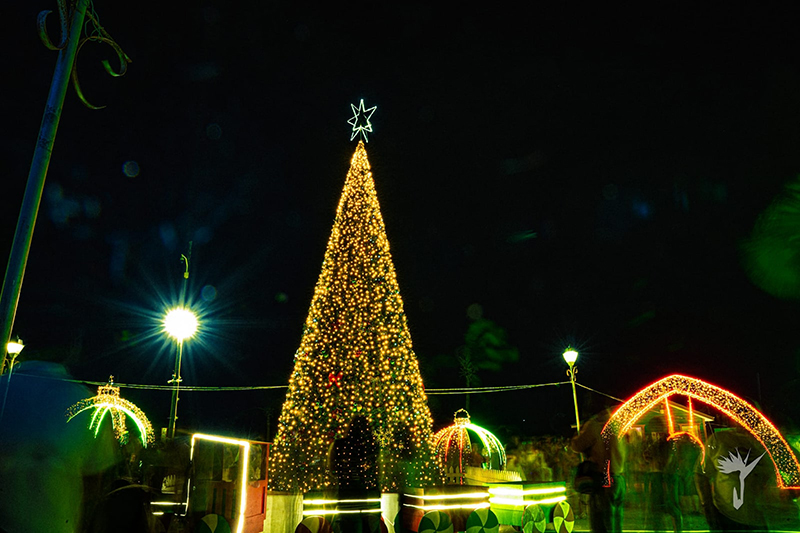 Christmas-tree-lighting