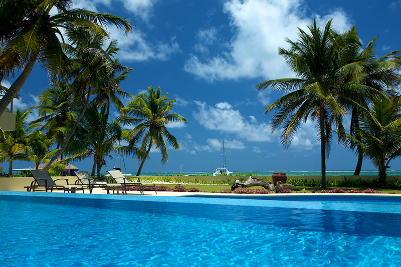 Relax under the shade of palm trees