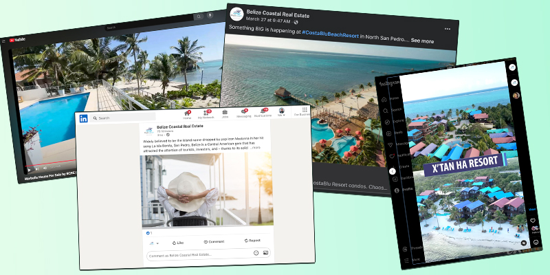 BCRE social media platforms