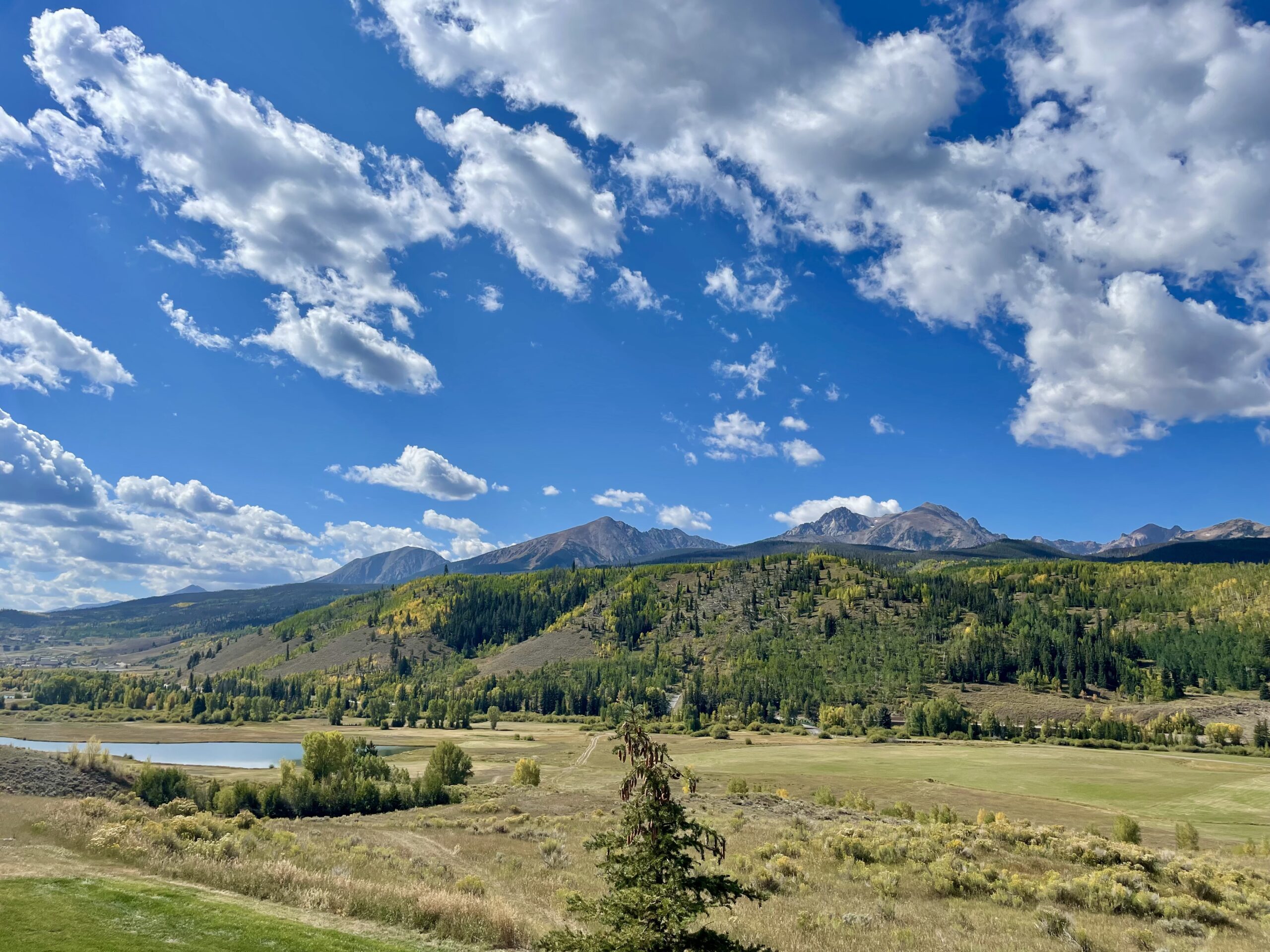 Silverthorne