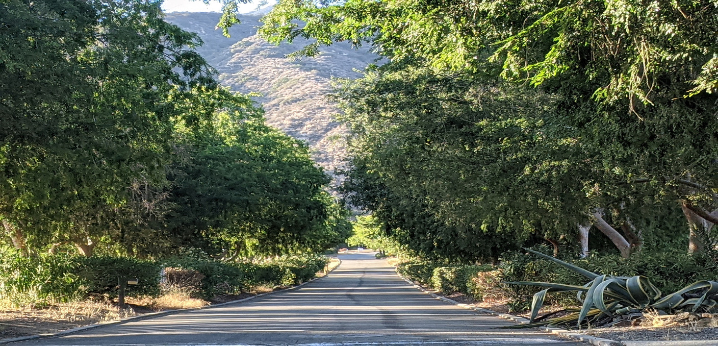 Sierra Madre