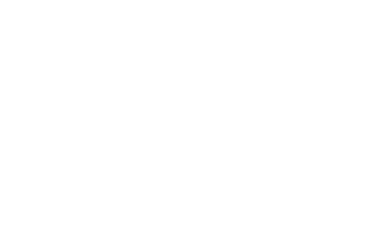 Bryn Schneider
