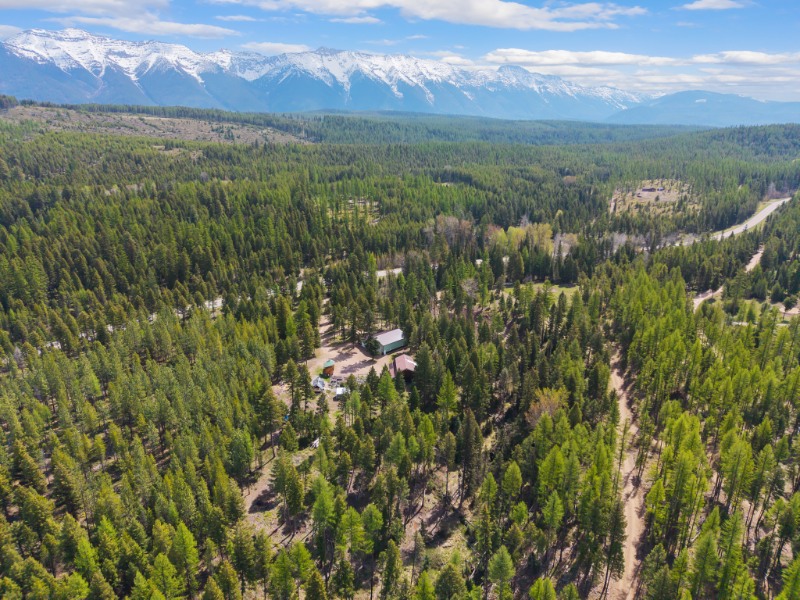 Swan Valley