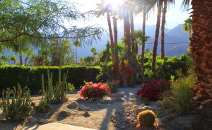 Hacienda in Little Tuscany