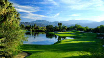 Green grass outside view