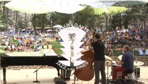 Idyllwild Jazz in the Pines