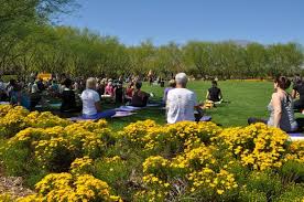 Sunnylands Films on the Great Lawn