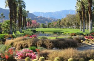 Thunderbird Country Club Golf Course Over Seeding Schedule