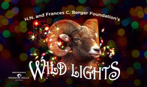Wildlights at The Living Desert