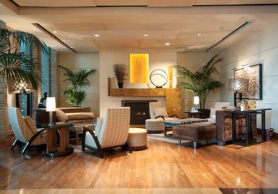 Green Plants to your Living Space