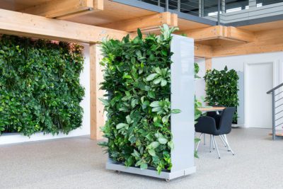 Room Divider with Live Plants