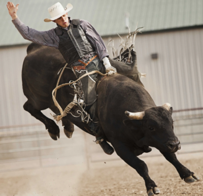 Professional Bull Riding