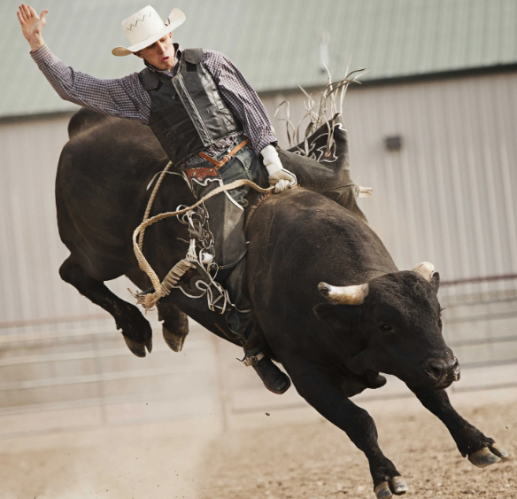 Professional Bull Riding
