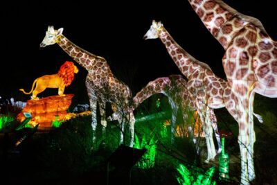 Glow in the Park Palm Desert