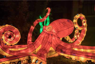 Glow in the Park Palm Desert