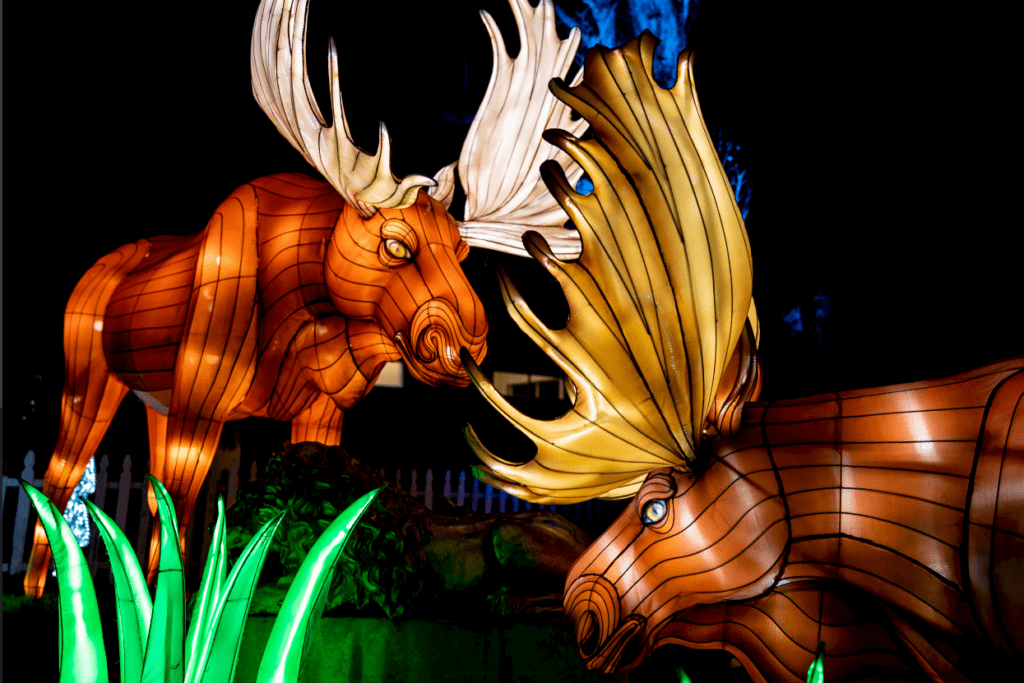 Glow in the Park Palm Desert