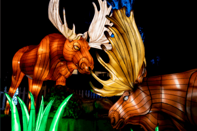 Glow in the Park Palm Desert