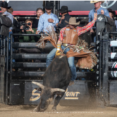 Professional Bull Riding
