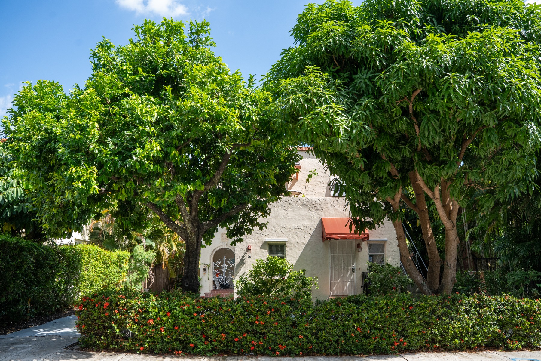 Small home with red awning nestled under a large tree and lush garden