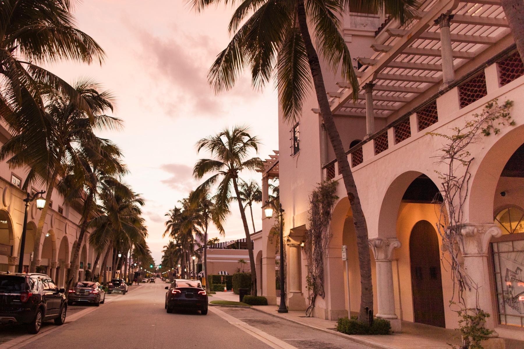 Palm-lined street scene with pastel buildings and warm sunset lighting