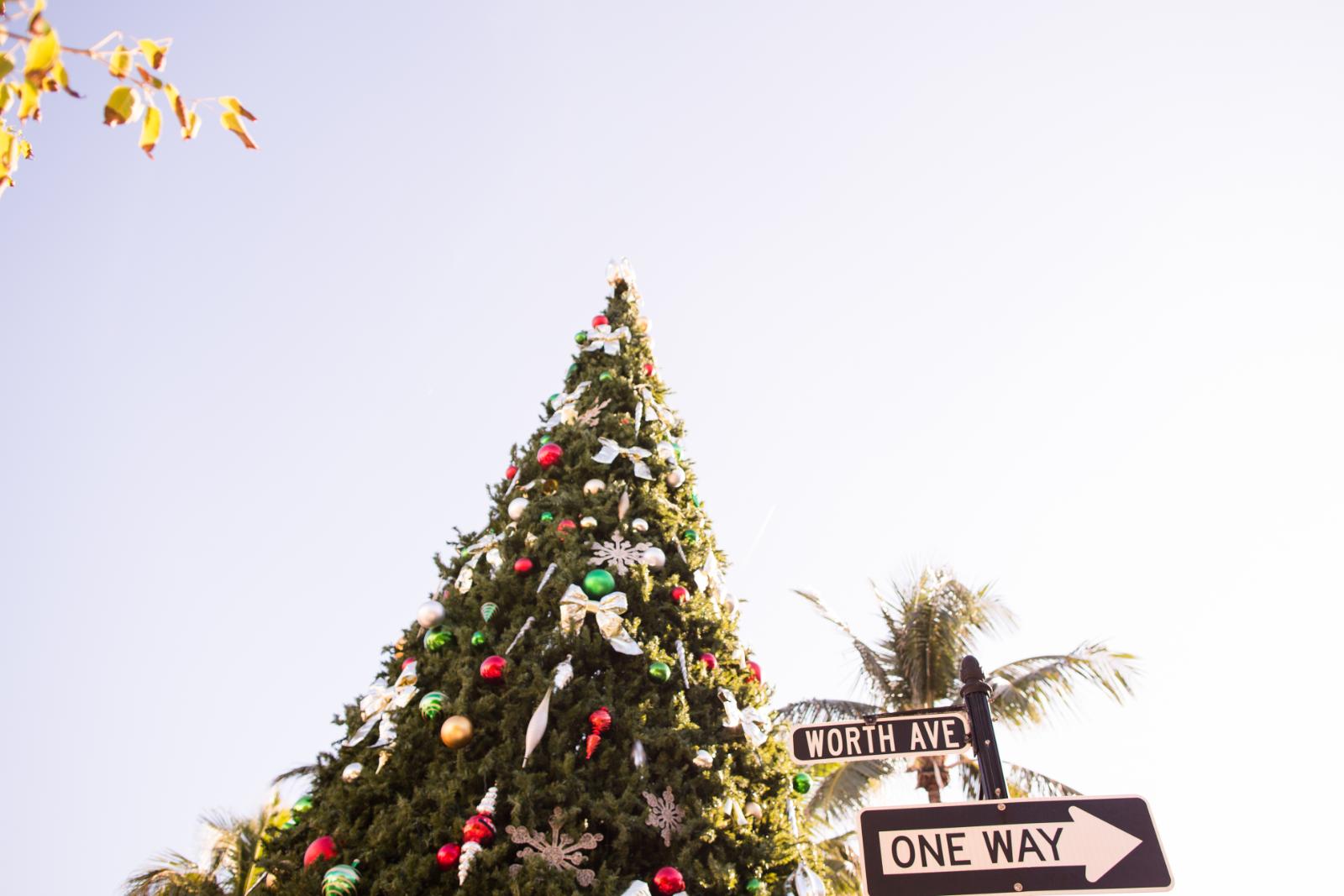 Winter on the Waterfront: Why West Palm Beach shines when the season arrives