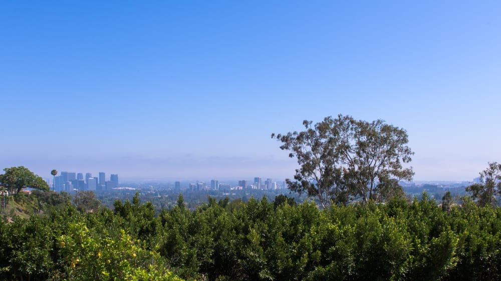 1375 Beverly Estates Drive, Beverly Hills, CA 90210