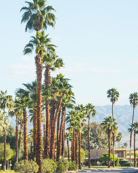 Palm Desert